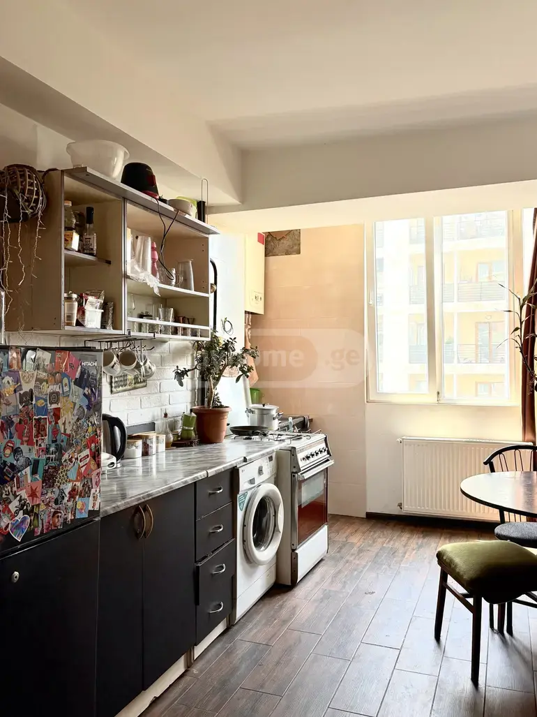 3 Room Apartment For Rent In Nadzaladevi view 5