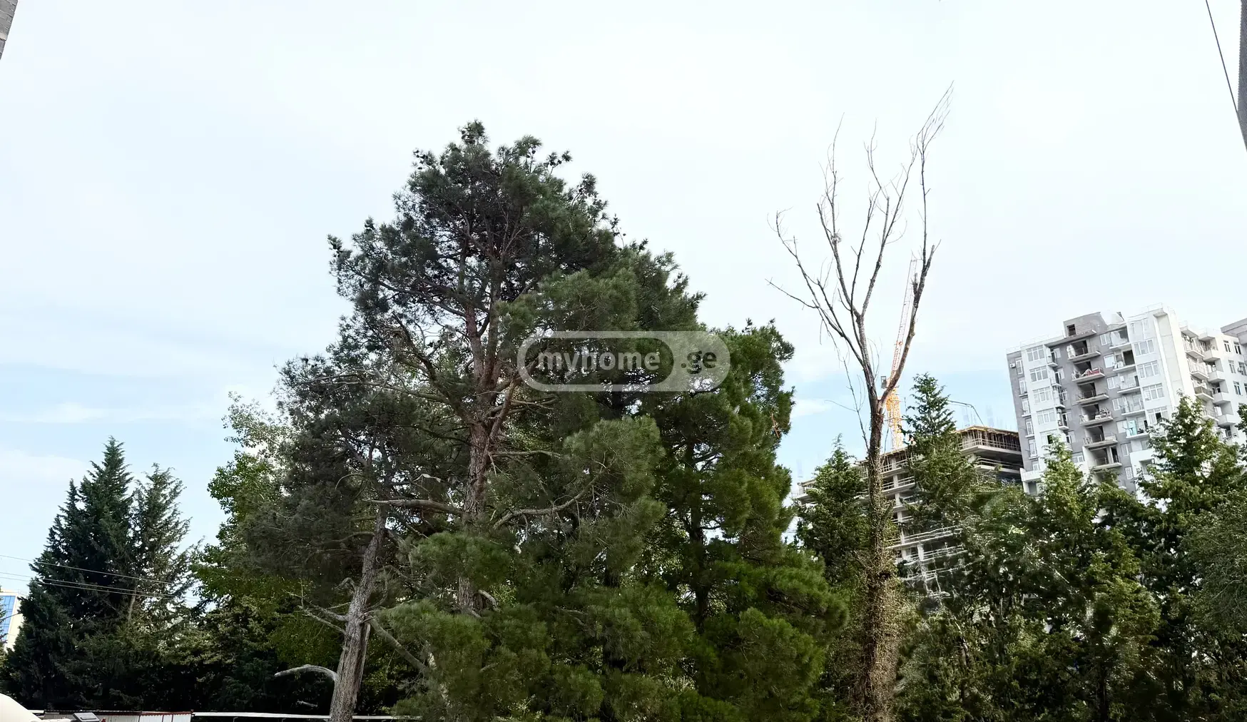 2 Room Apartment For Sale view 14