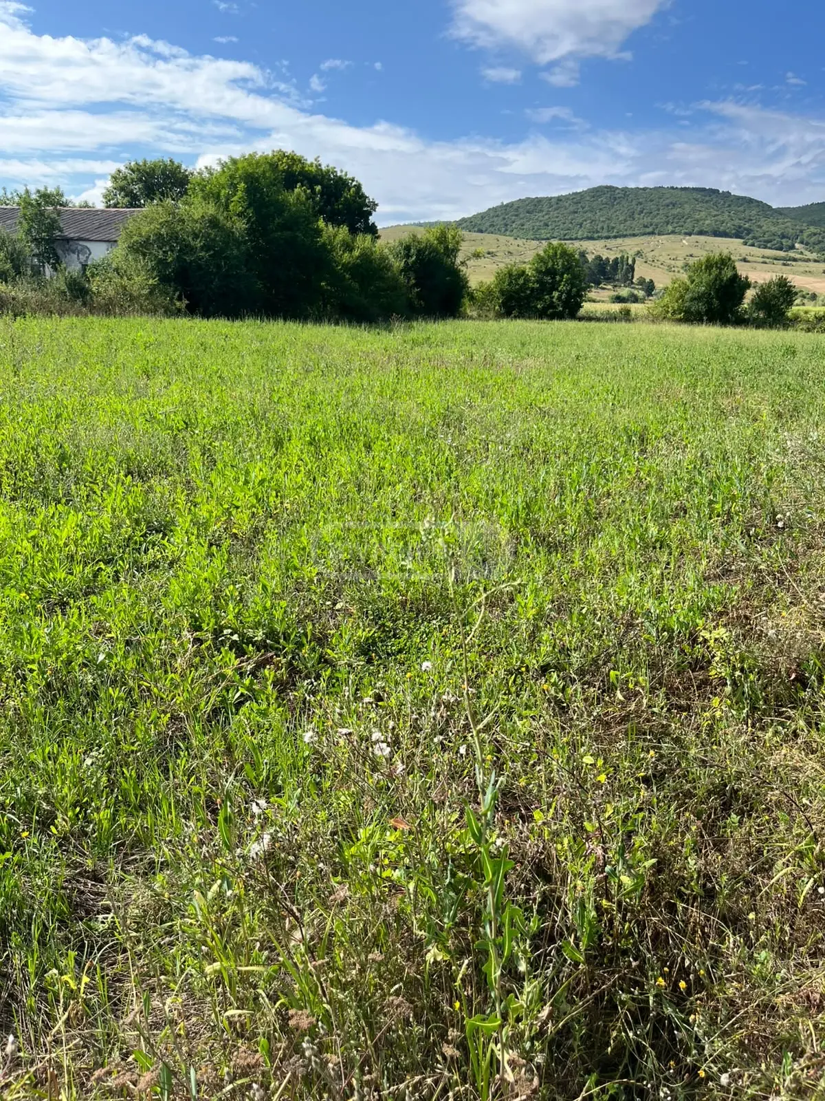 იყიდება Non-Agricultural Plot In Tianeti, In Tianeti Municipalityში view 5