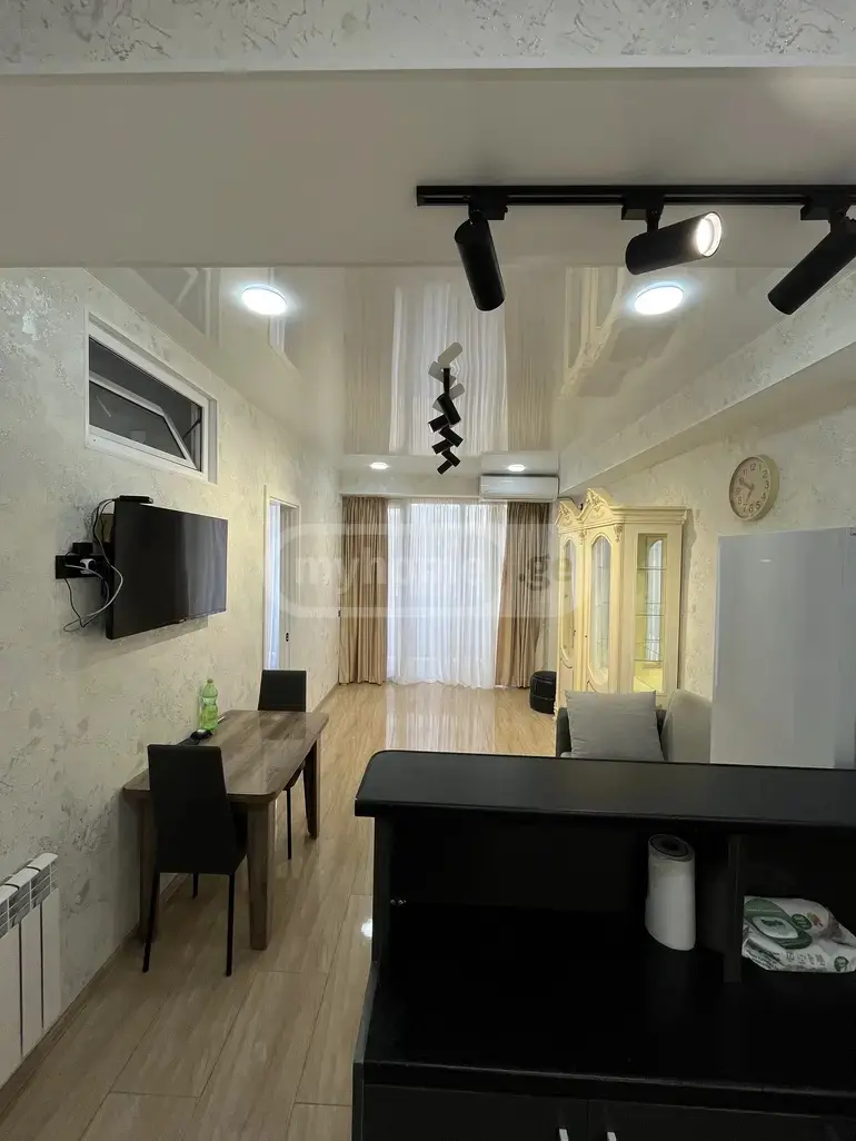 3 Room Apartment For Rent In Nadzaladevi view 1