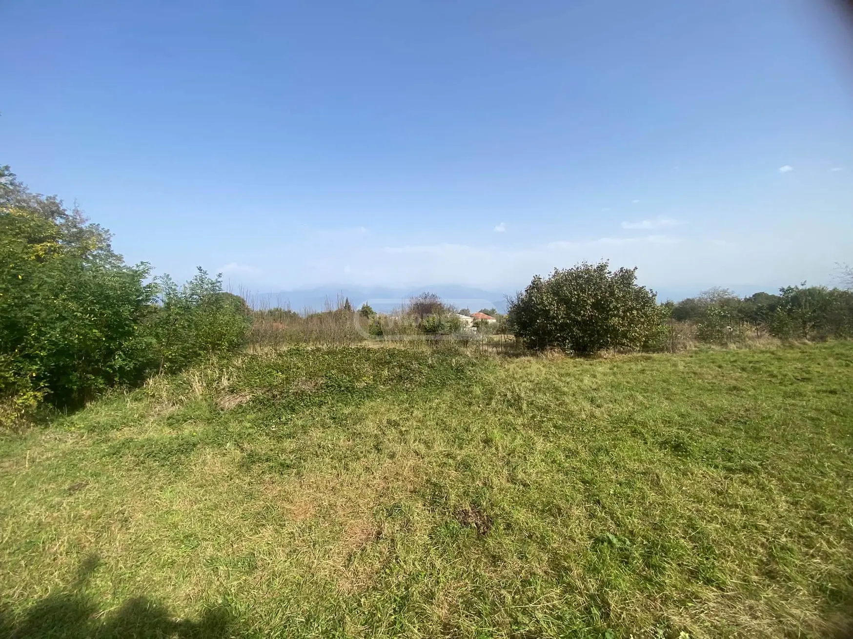 Agricultural Plot For Sale In Vardisubani, In Telavi Municipality view 2