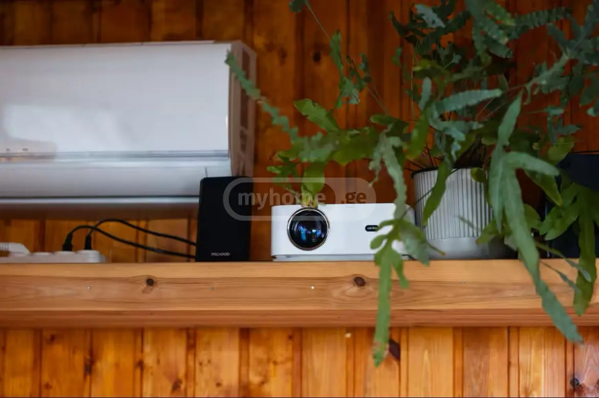 1 Room Private House Daily Rent In Boni-Gorodok District, In Batumi view 8