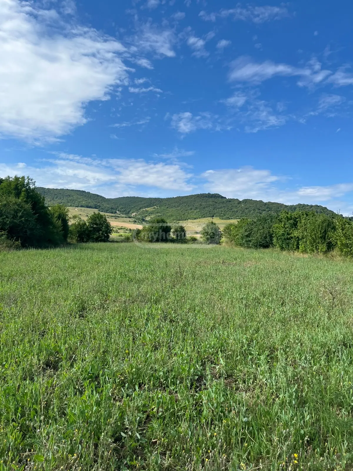 იყიდება Non-Agricultural Plot In Tianeti, In Tianeti Municipalityში view 1