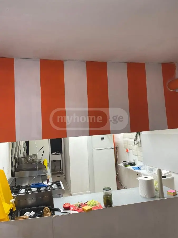 Universal Commercial Area For Rent In Nadzaladevi view 4