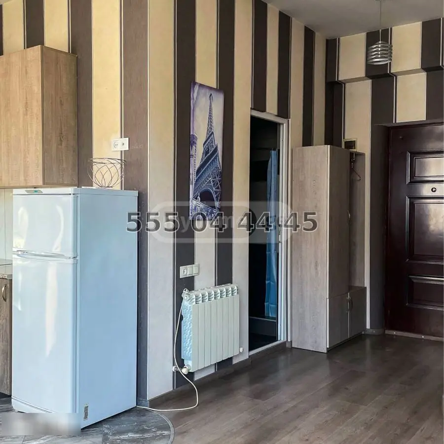 3 Room Apartment For Rent In Samgori view 6