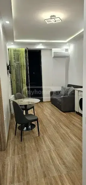 2 Room Apartment For Rent In Nadzaladevi view 2