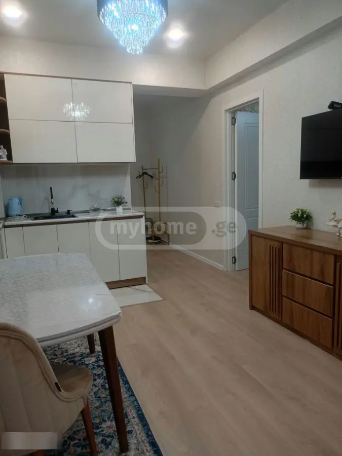 2 Room Apartment For Rent In Didi Digomi view 2