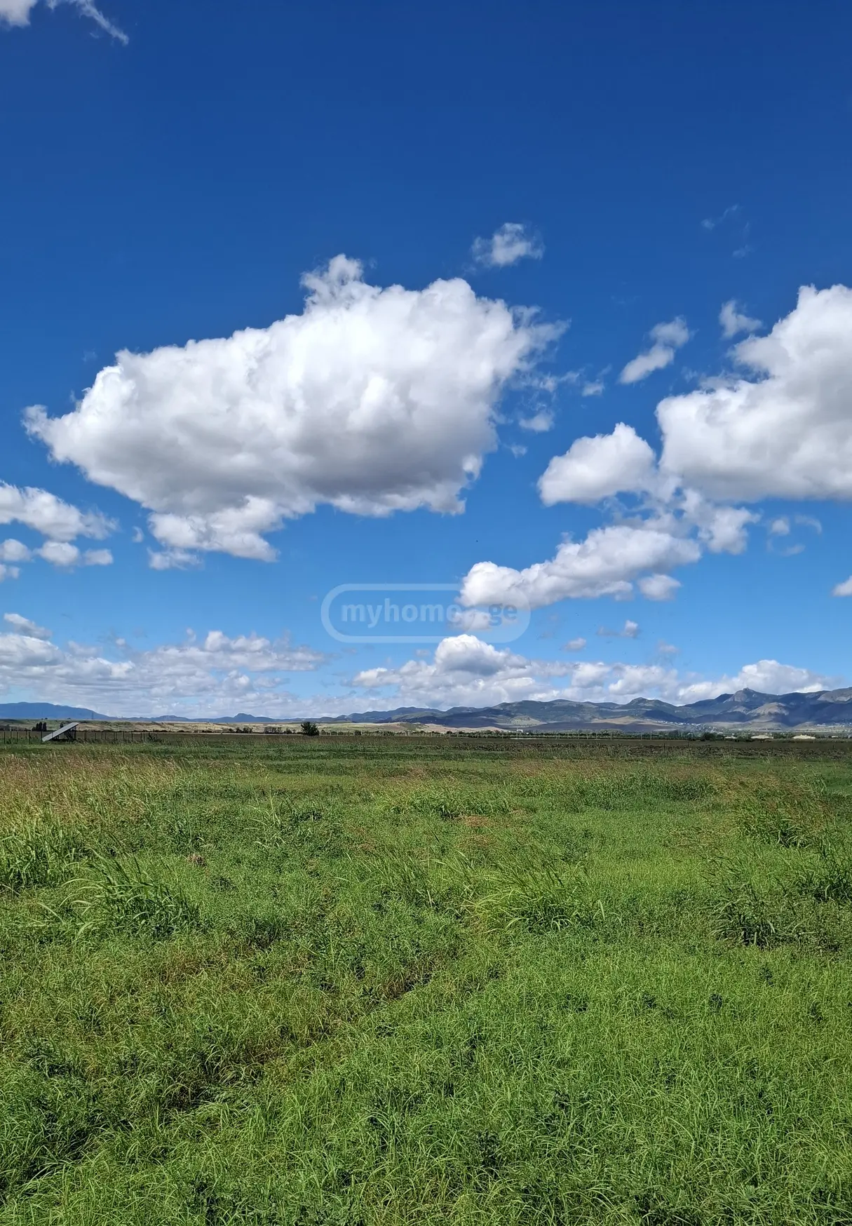 Agricultural Plot For Sale In Koda, In Tetritskaro Municipality view 1