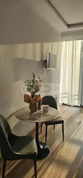 2 Room Apartment For Rent In Nadzaladevi view 4