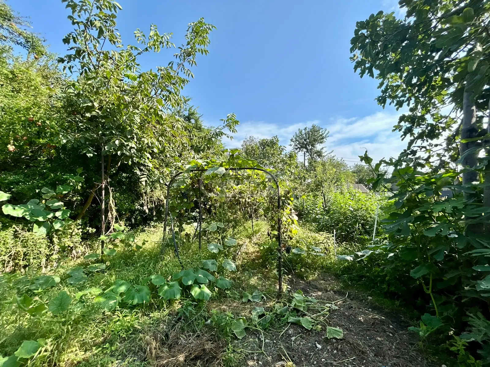 Non-Agricultural Plot For Sale In Gamarjveba, In Gardabani Municipality view 4