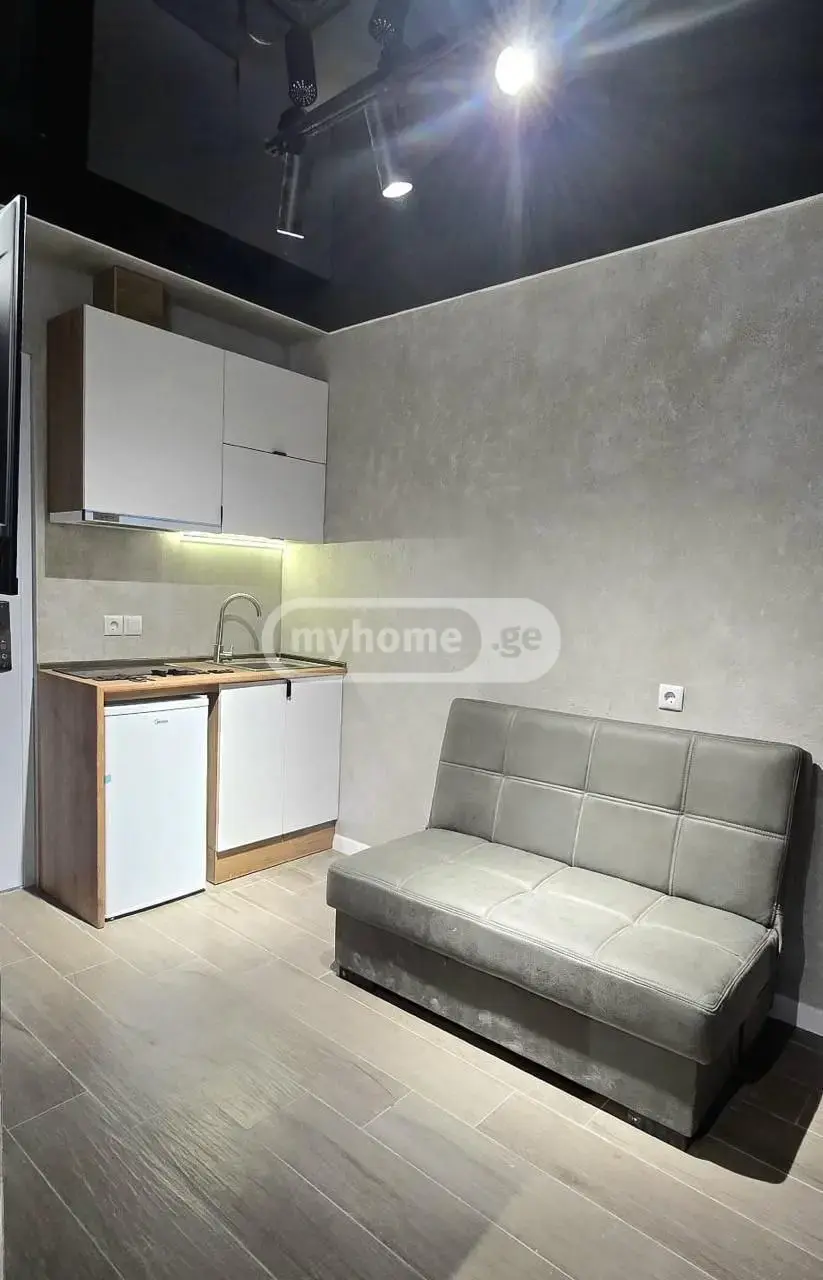 Universal Commercial Area For Sale In Krtsanisi view 4