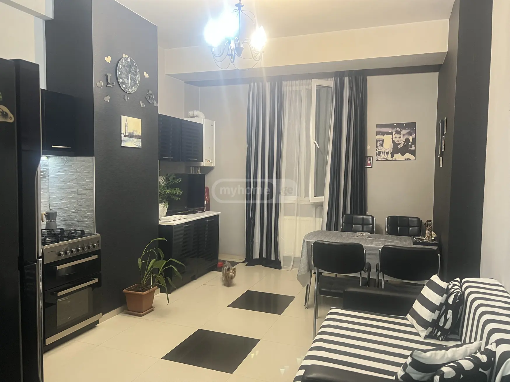 3 Room Apartment For Rent In Vera view 11