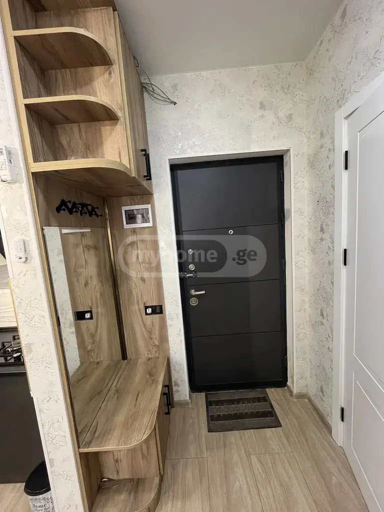 3 Room Apartment For Rent In Nadzaladevi view 7