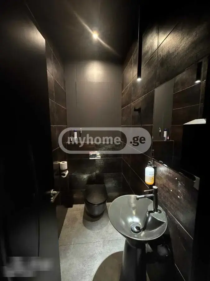 Universal Commercial Area For Rent In Sololaki view 3