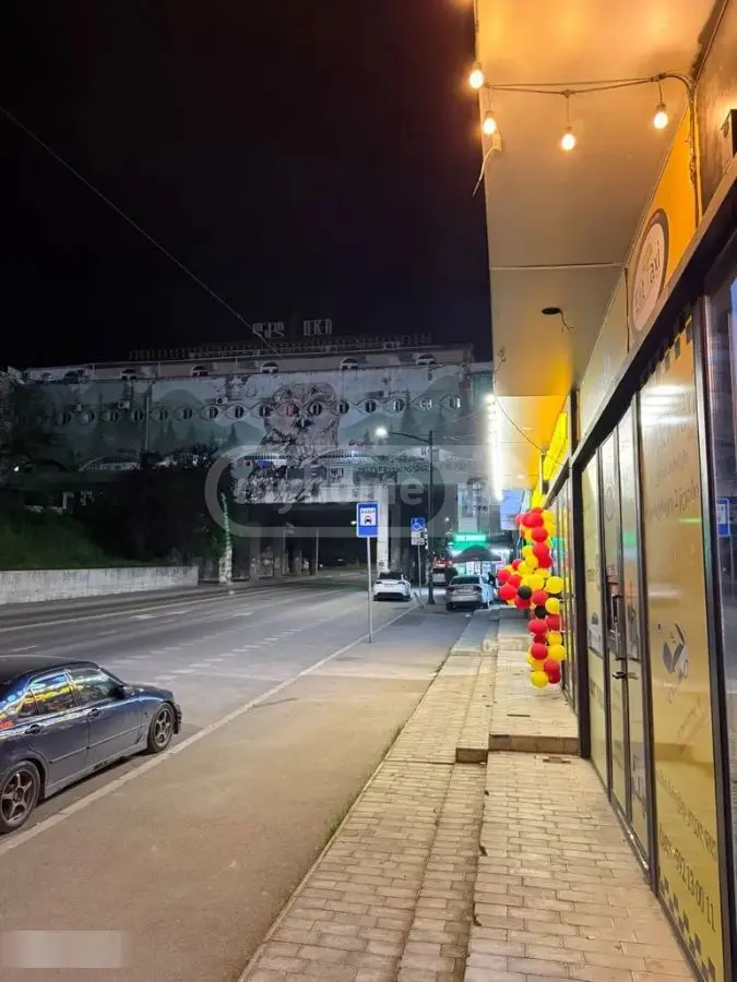 Food Object Commercial Area For Sale In Gldani view 12