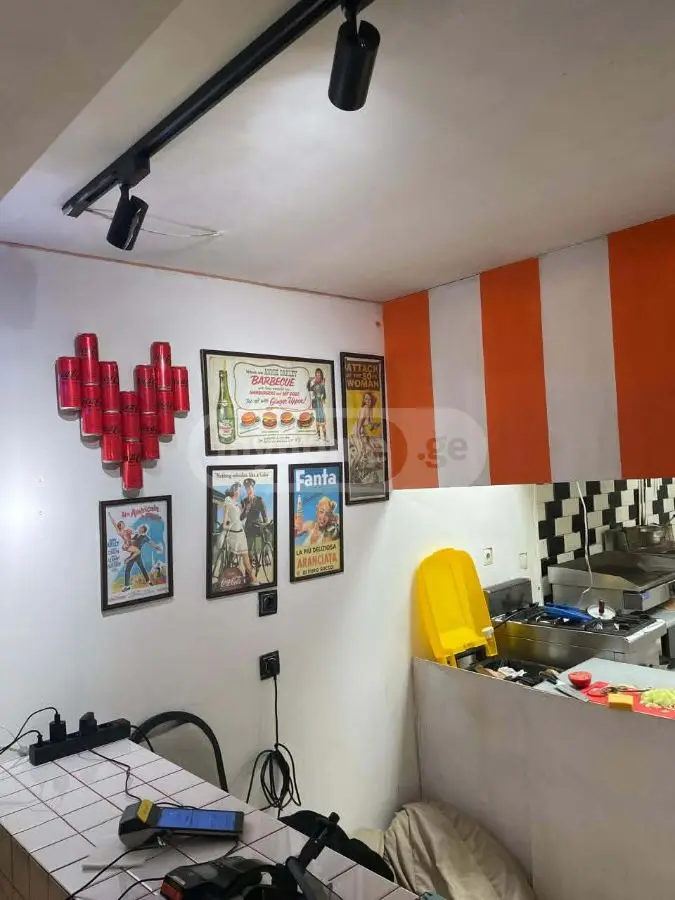 Universal Commercial Area For Rent In Nadzaladevi view 2