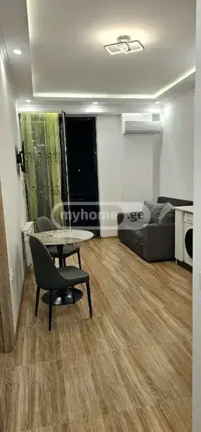 2 Room Apartment For Rent In Nadzaladevi view 3