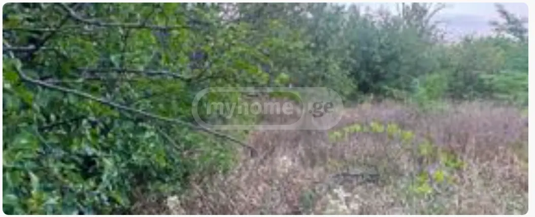 იყიდება Agricultural Plot In Kaspiში view 1