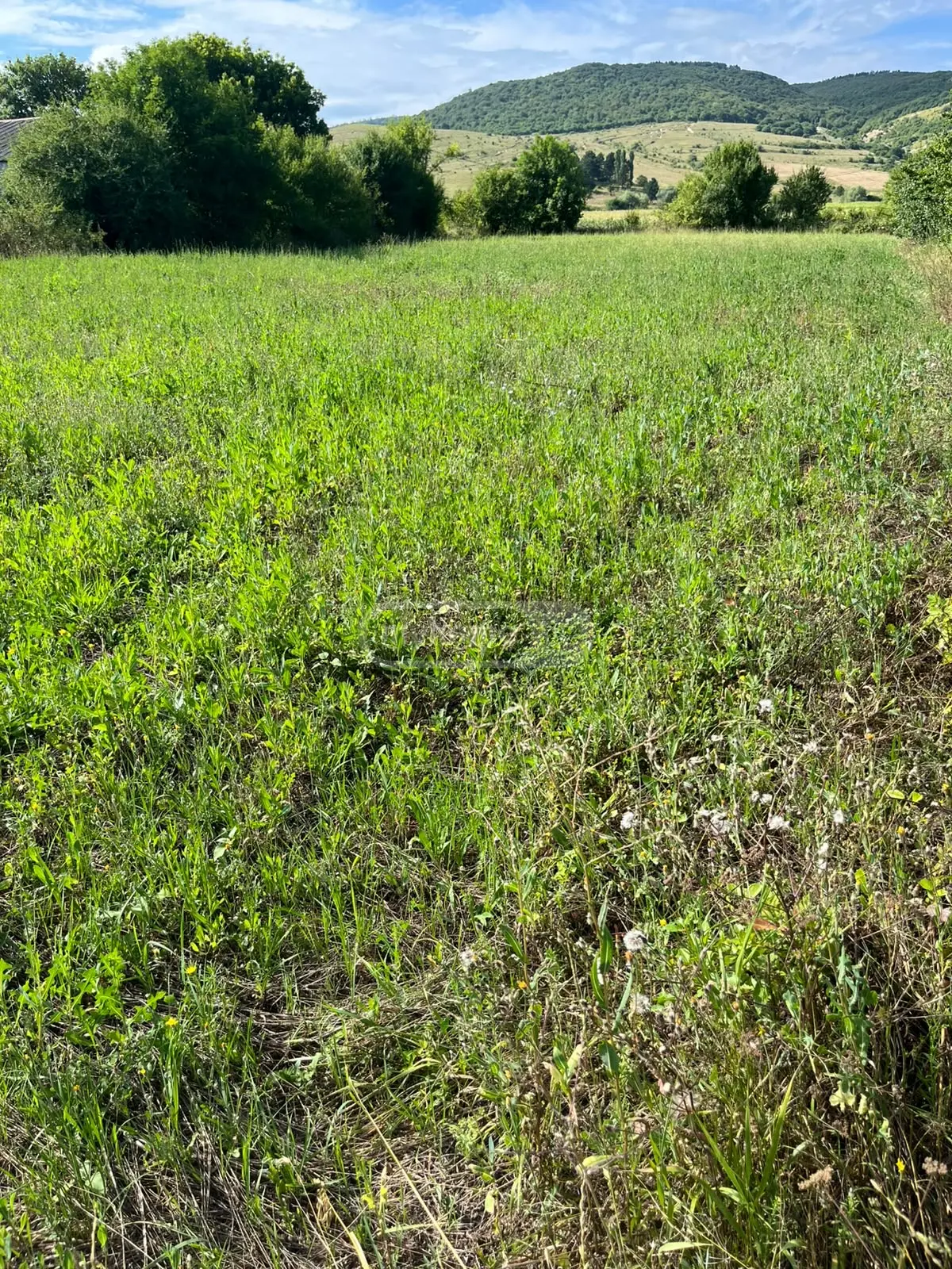 იყიდება Non-Agricultural Plot In Tianeti, In Tianeti Municipalityში view 3