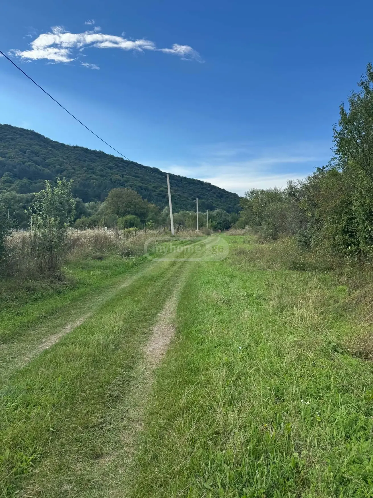 იყიდება Agricultural Plot In Tianeti, In Tianeti Municipalityში view 2