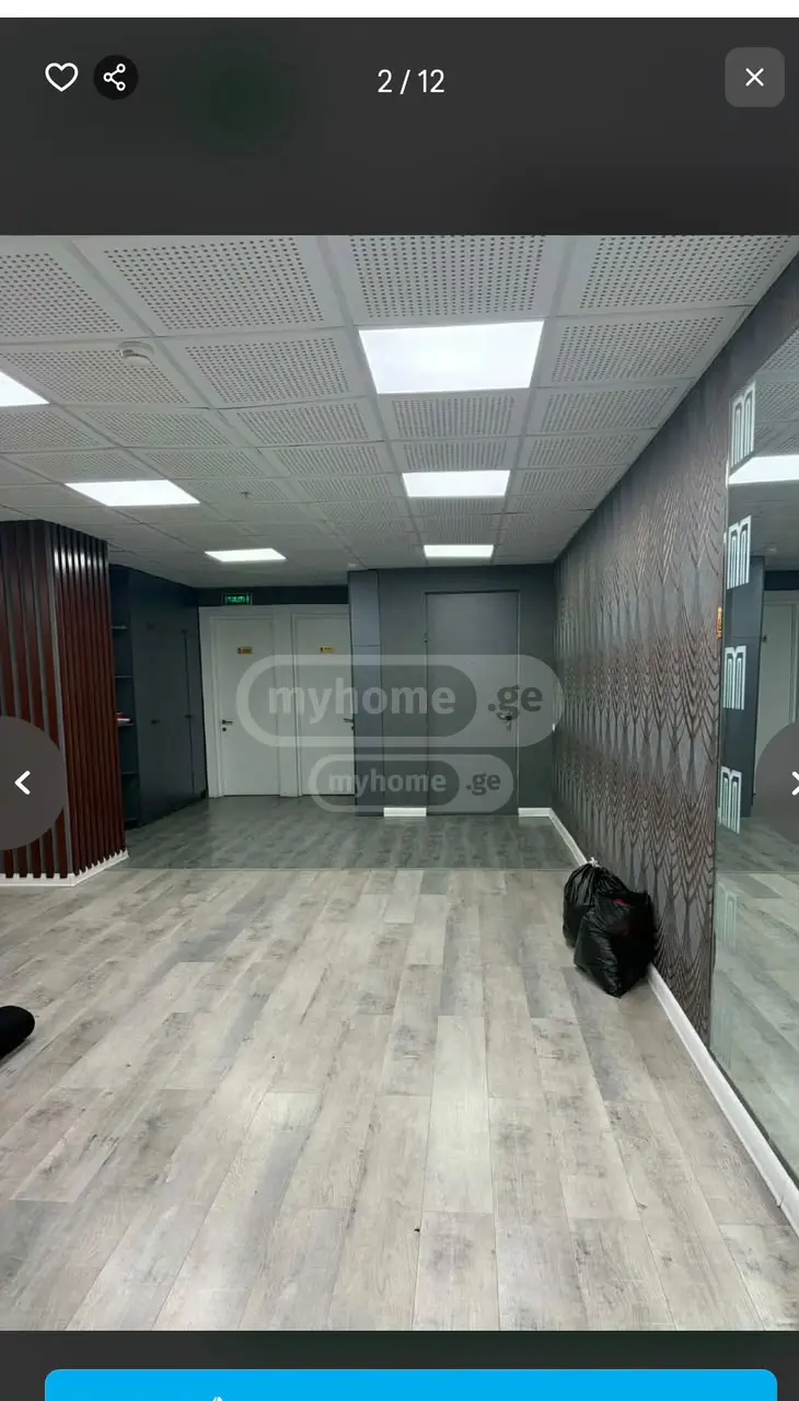 Universal Commercial Area For Rent In Nadzaladevi view 8