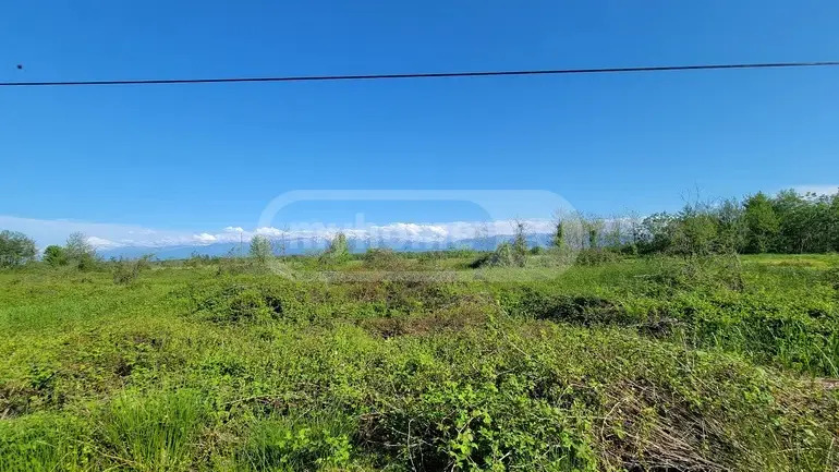 Agricultural Plot For Sale In Natanebi, In Ozurgeti Municipality view 5