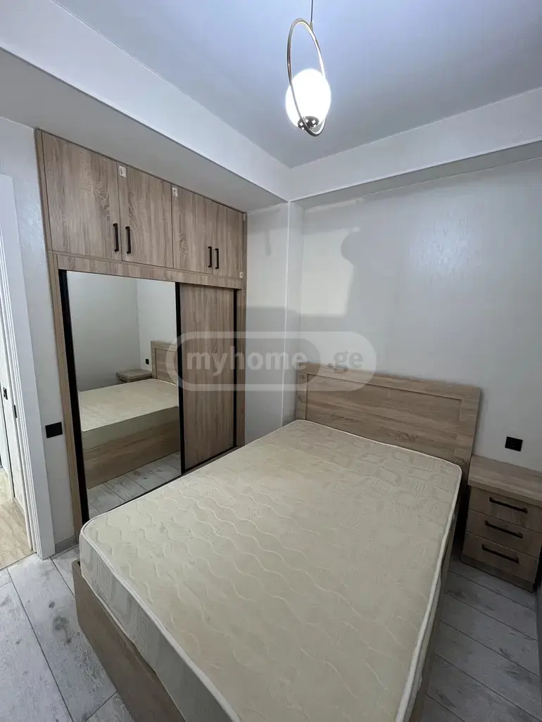 3 Room Apartment For Rent In Nadzaladevi view 4