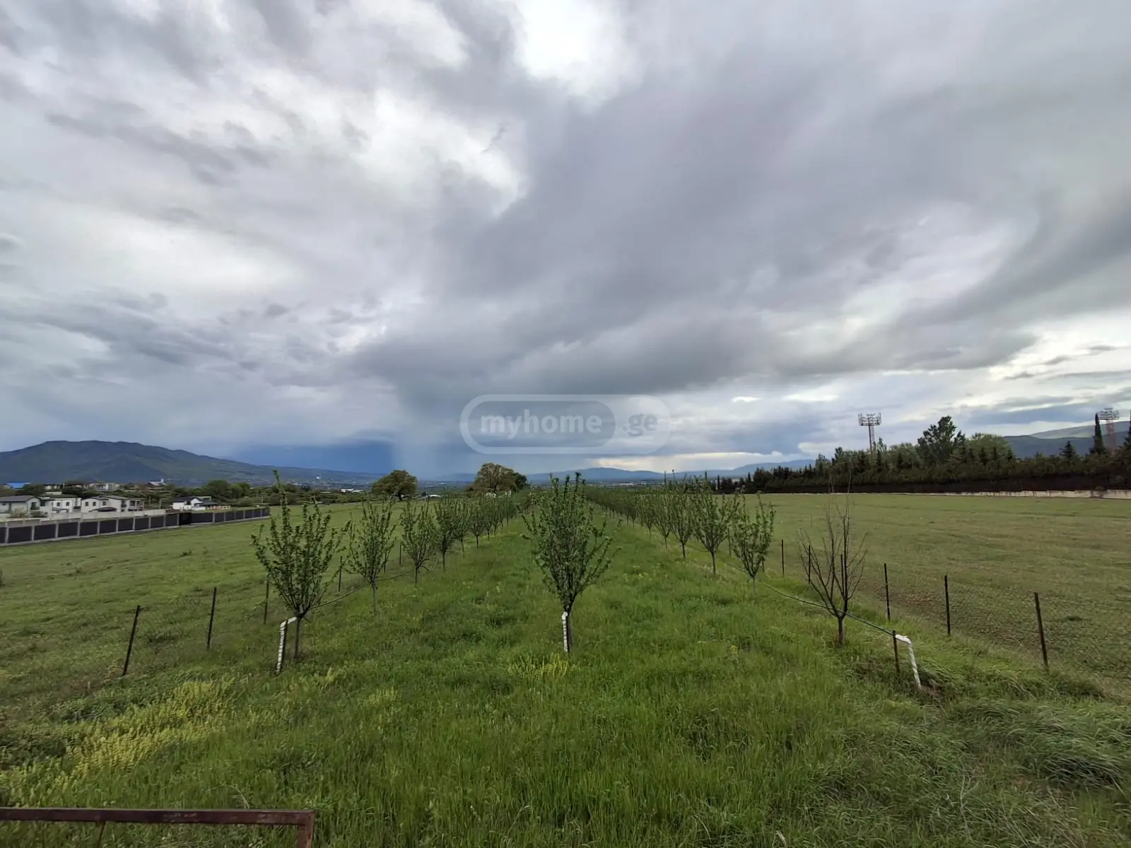 Agricultural Plot For Sale In Saguramo, In Mtskheta Municipality view 3