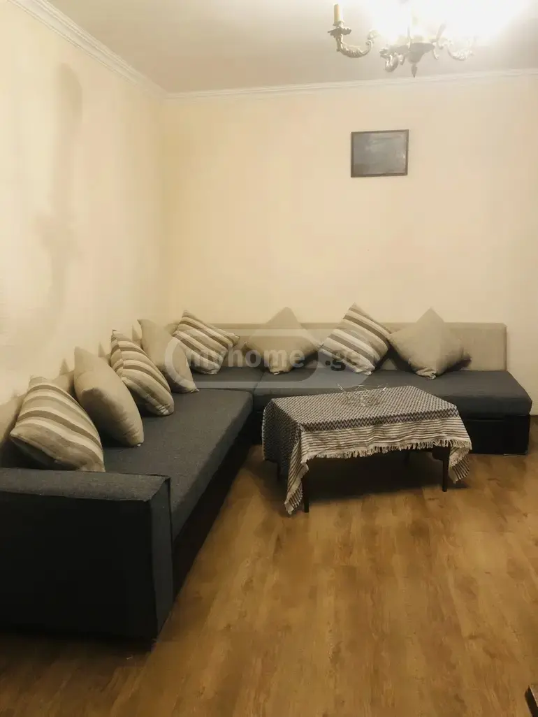 2 Room Apartment For Rent In Varketili view 13