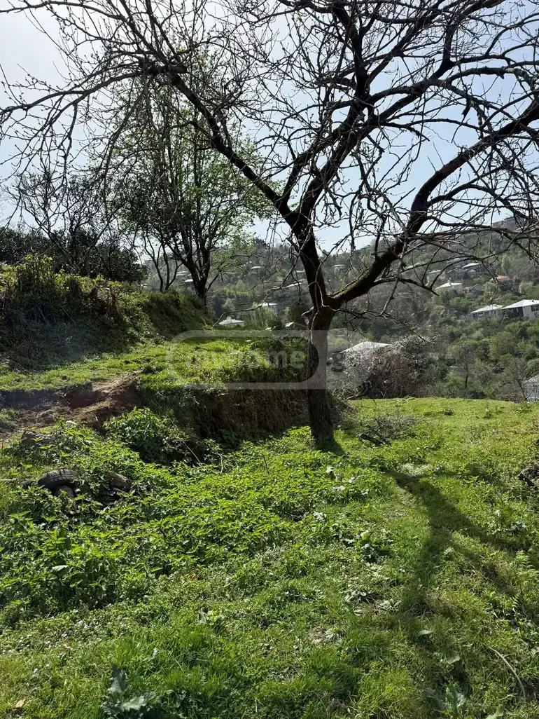 იყიდება Agricultural Plot In Akhalsopeli, In Khelvachauri Municipalityში view 2