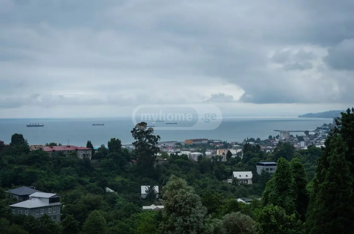 1 Room Private House Daily Rent In Boni-Gorodok District, In Batumi view 5