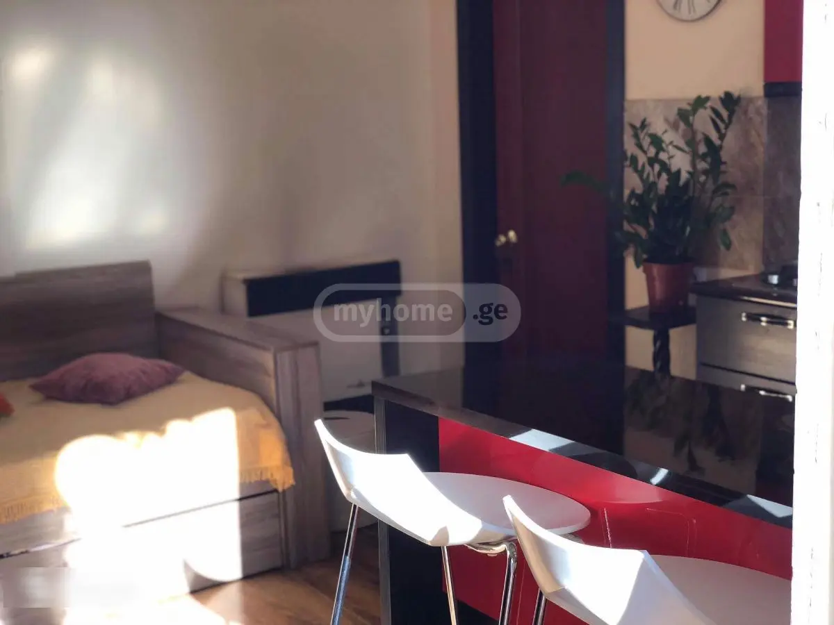 2 Room Apartment For Rent In Sololaki view 6