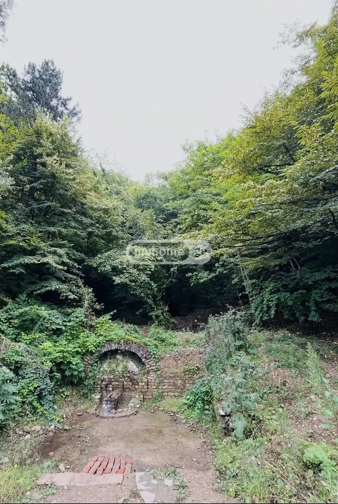 Agricultural Plot For Sale In Ziari, In Gurjaani Municipality view 4