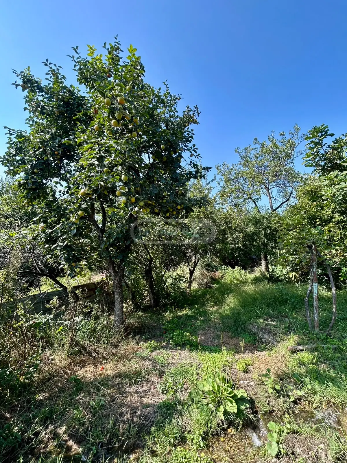 Non-Agricultural Plot For Sale In Gamarjveba, In Gardabani Municipality view 3