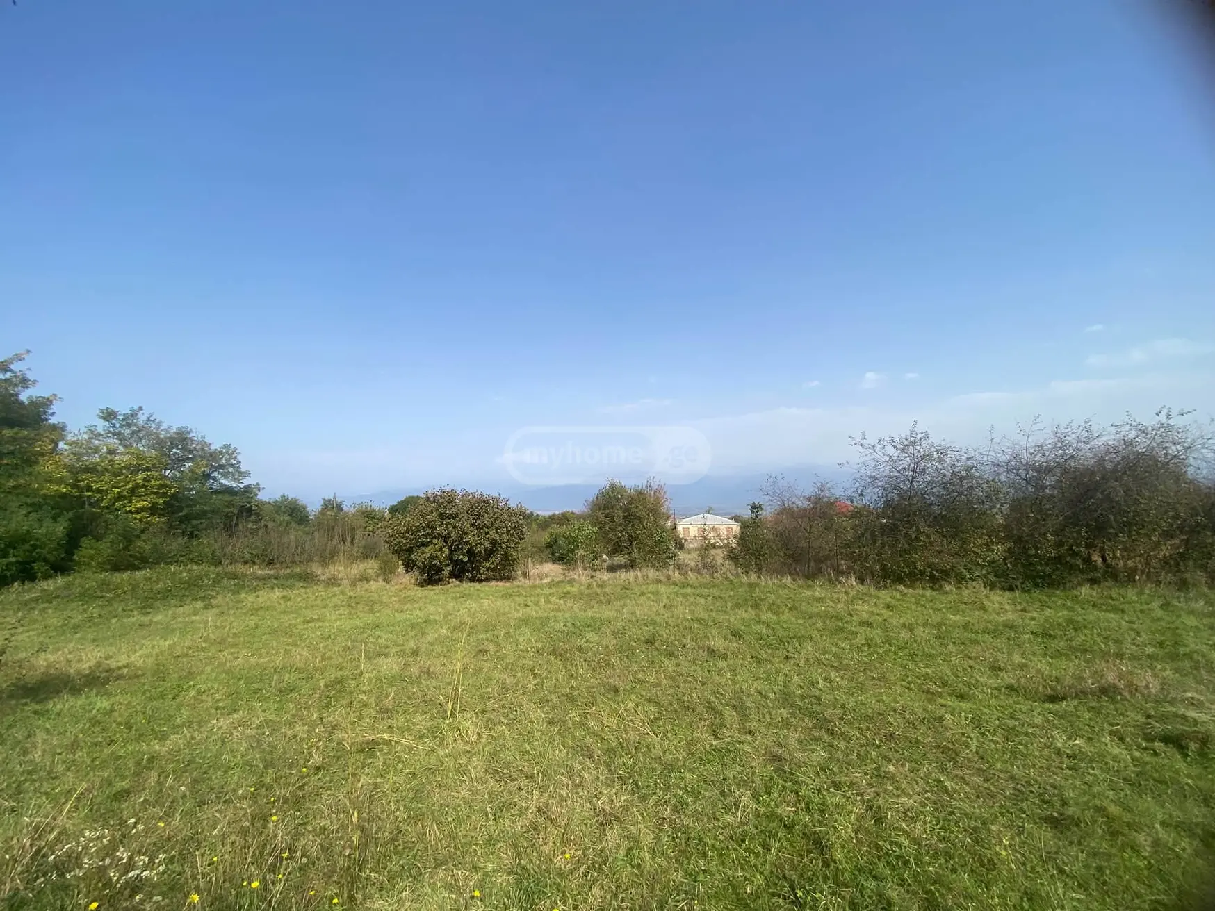 Agricultural Plot For Sale In Vardisubani, In Telavi Municipality view 1