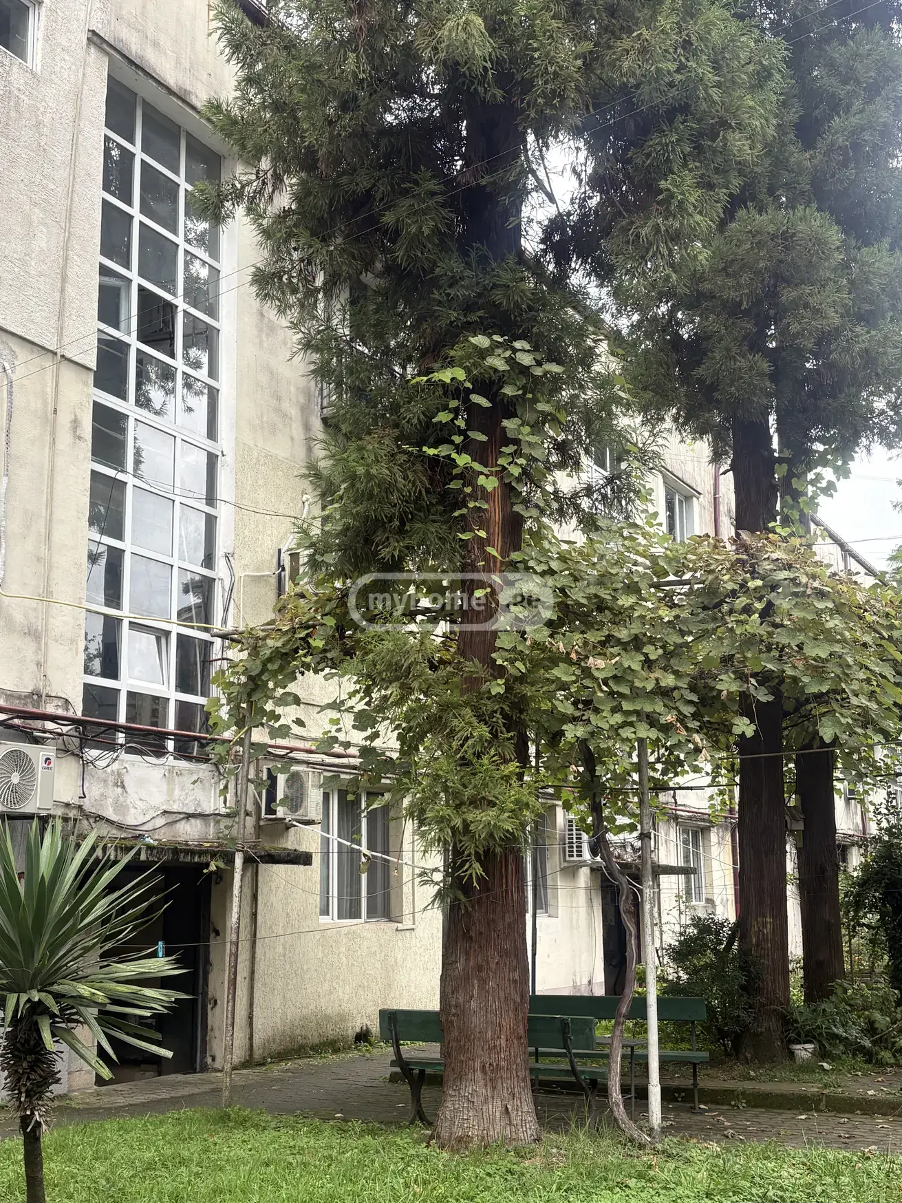 5 Room Apartment For Rent In Makhinjauri, In Batumi view 11