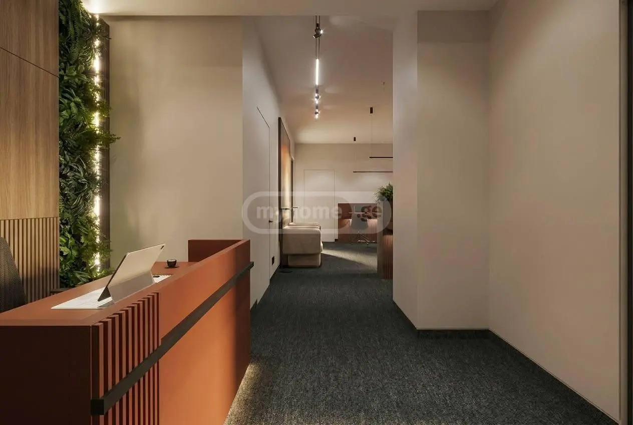 Office Commercial Area For Rent In Didi Digomi view 3