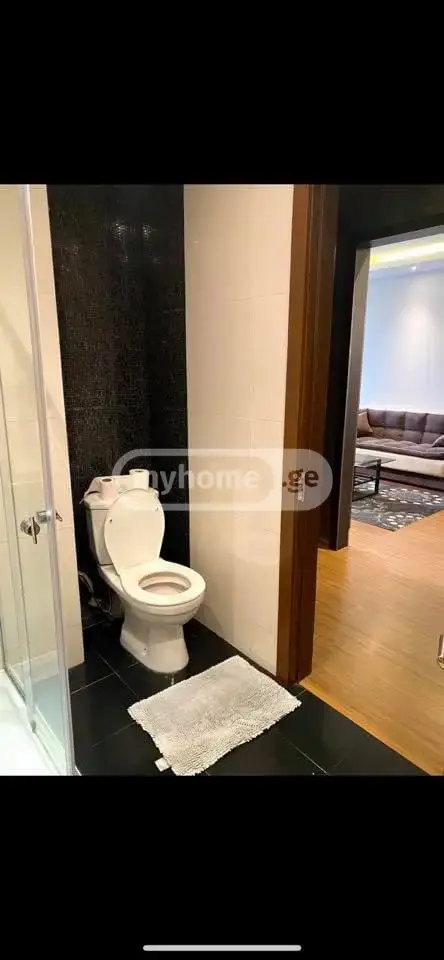 2 Room Apartment For Rent In Saburtalo view 7
