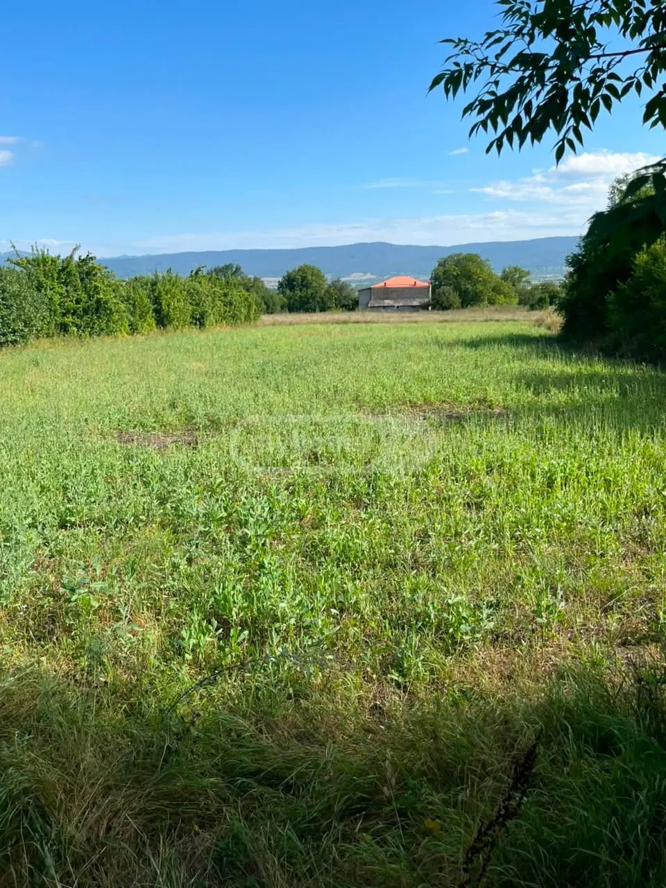 იყიდება Agricultural Plot In Tianeti, In Tianeti Municipalityში view 1