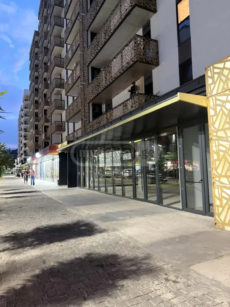 2 Room Apartment For Sale view 10