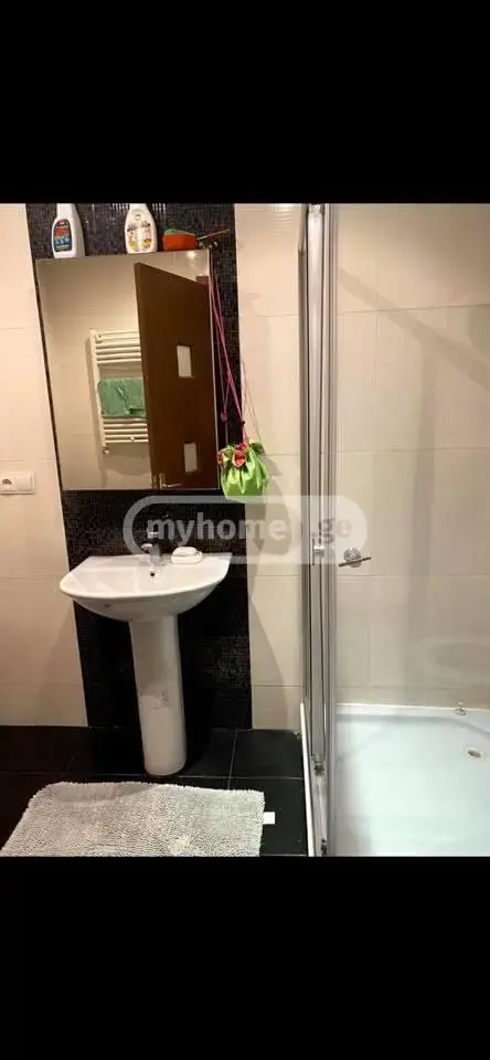 2 Room Apartment For Rent In Saburtalo view 8