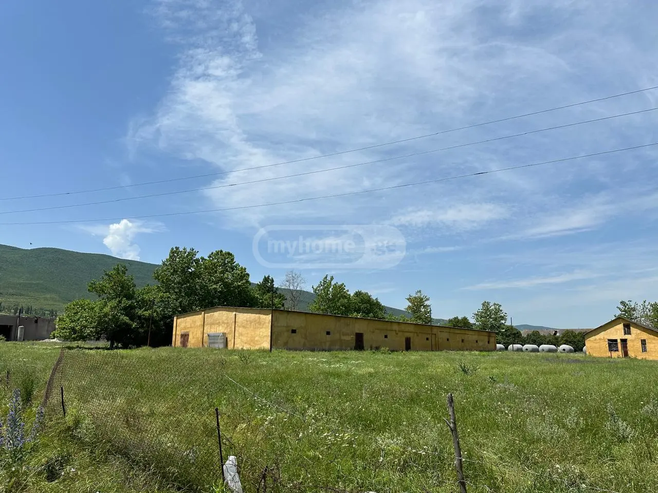 Universal Commercial Area For Rent In Okami, In Kaspi Municipality view 4