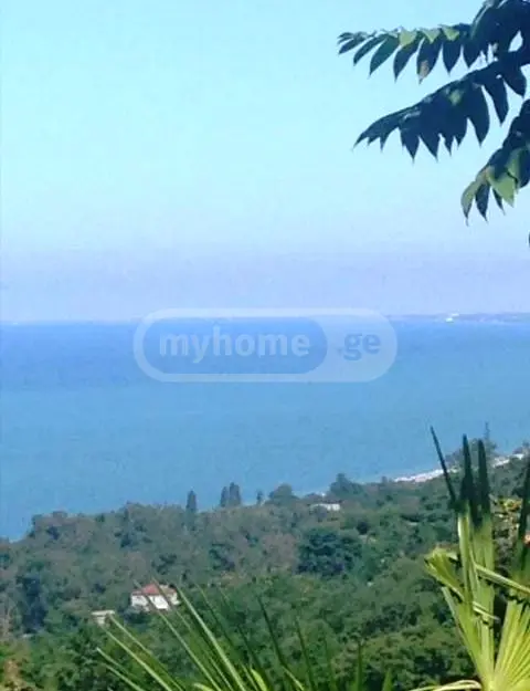 Agricultural Plot For Sale In Tsikhisdziri, In Kobuleti Municipality view 4