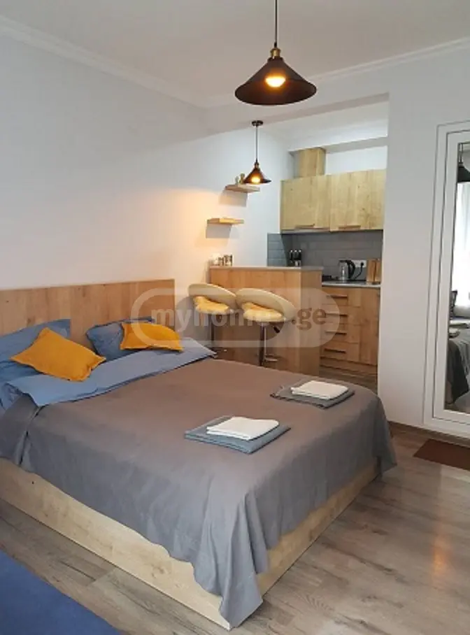 1 Room Apartment Daily Rent In Municipality Of Borjomi, In Borjomi Municipality view 1