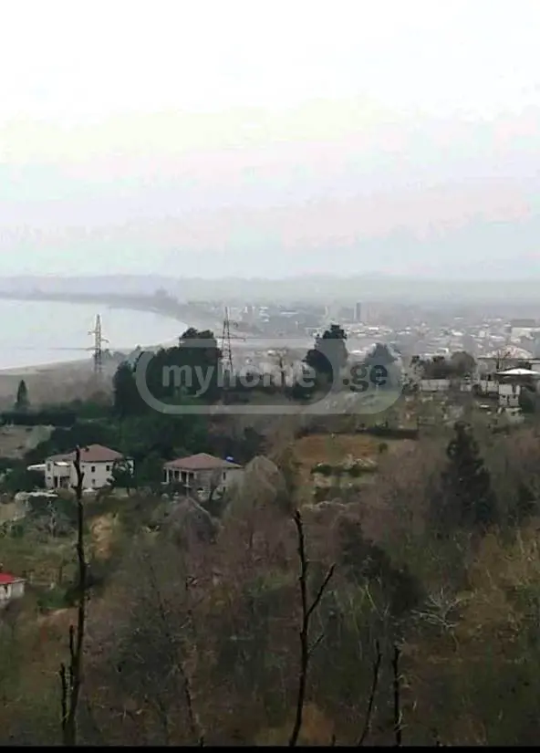 Agricultural Plot For Sale In Tsikhisdziri, In Kobuleti Municipality view 2