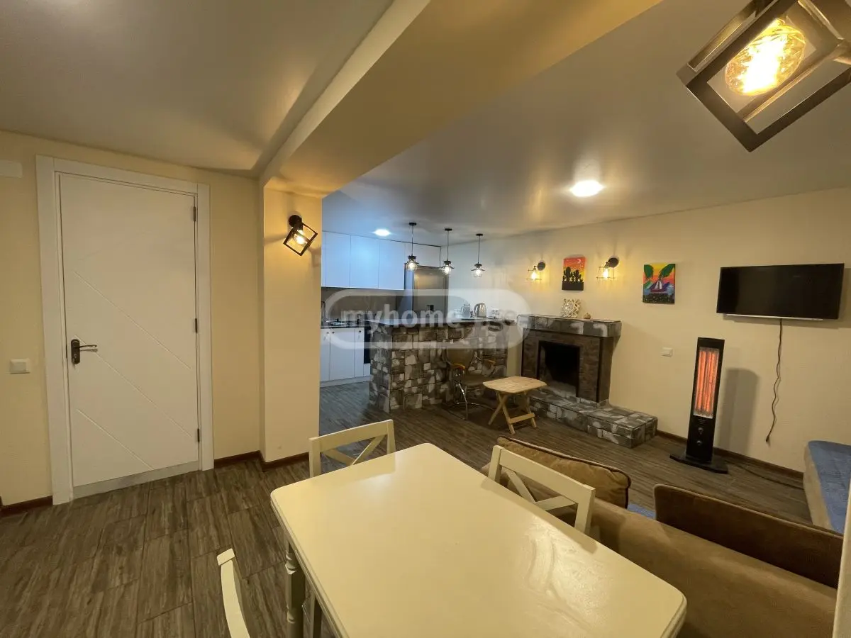 1 Room Country House Daily Rent In Vake view 6