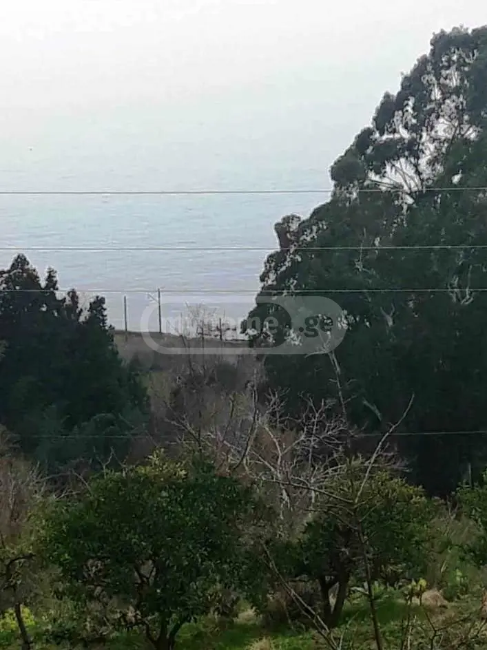 Agricultural Plot For Sale In Tsikhisdziri, In Kobuleti Municipality view 7