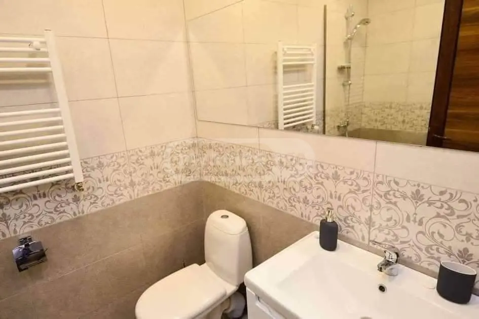 2 Room Hotel Daily Rent In Bakuriani view 6