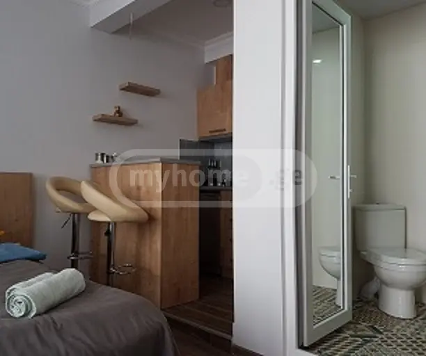 1 Room Apartment Daily Rent In Municipality Of Borjomi, In Borjomi Municipality view 2
