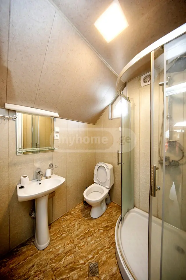 4 Room Country House Daily Rent In Bakuriani view 12